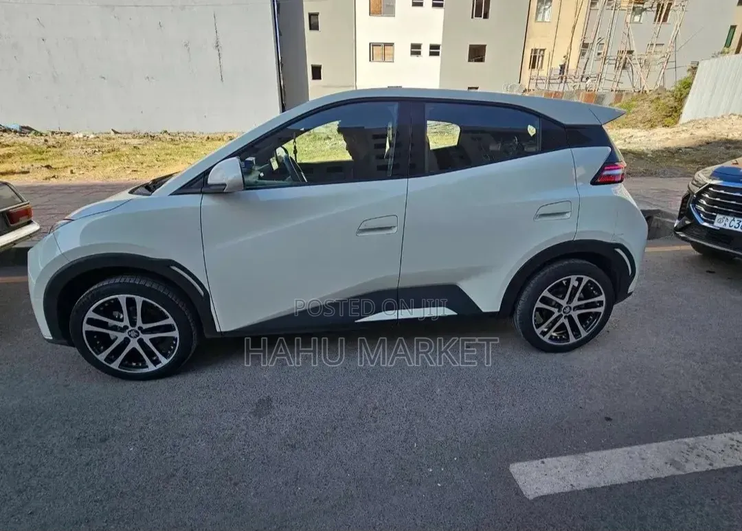 BYD Seagull 2024 White