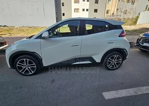 BYD Seagull 2024 White