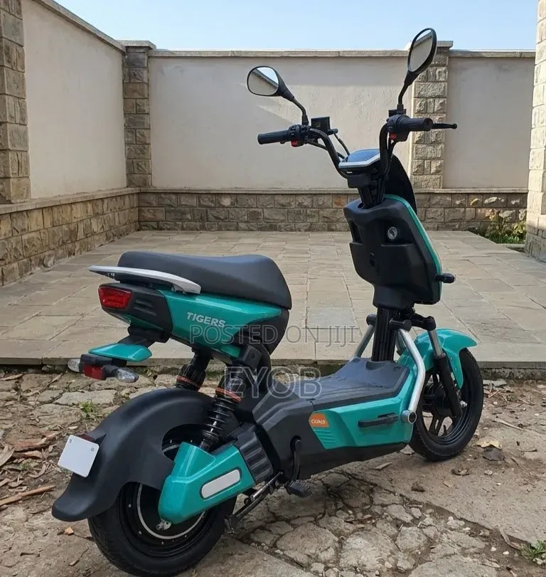 New Motorcycle 2024 Green