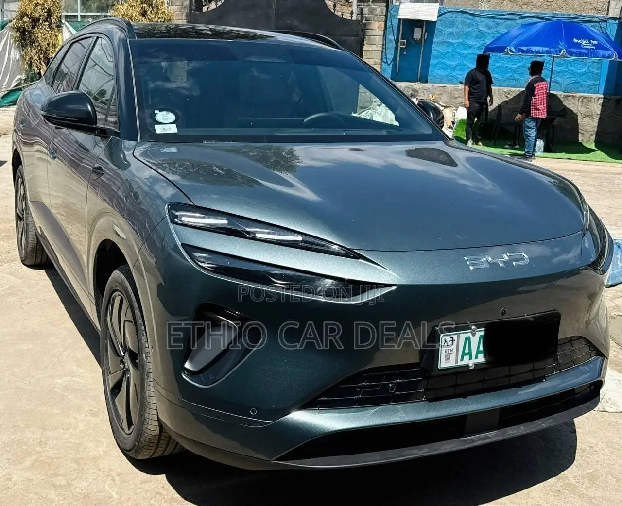 BYD Sealion 06 EV 2025 Green