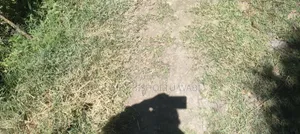 Furnished 7bdrm House in Dukem Bishoftu, East Shewa for sale