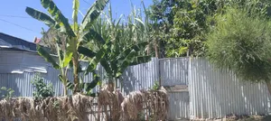 Furnished 4bdrm House in Dukem Bishoftu, East Shewa for sale