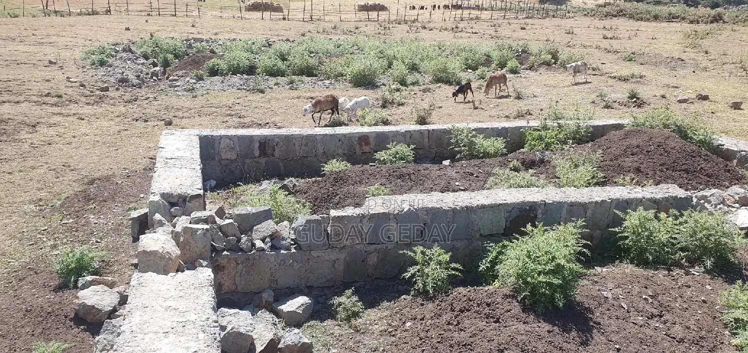 መሰረት የወጣ Yemehaber Bota Keniteri Gara Bolo Sheger Admi