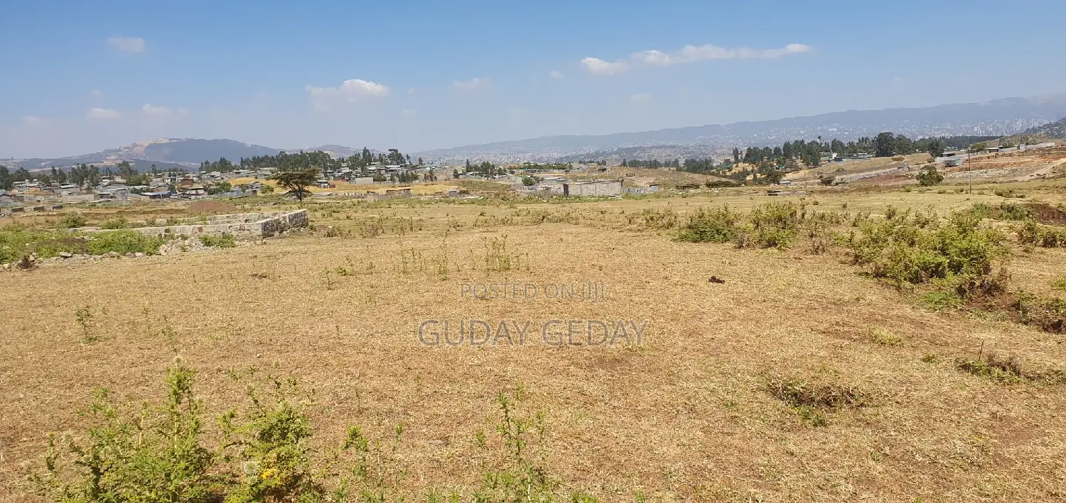 መሰረት የወጣ Yemehaber Bota Keniteri Gara Bolo Sheger Admi