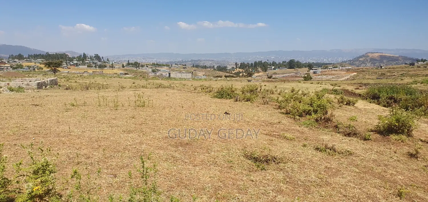 መሰረት የወጣ Yemehaber Bota Keniteri Gara Bolo Sheger Admi