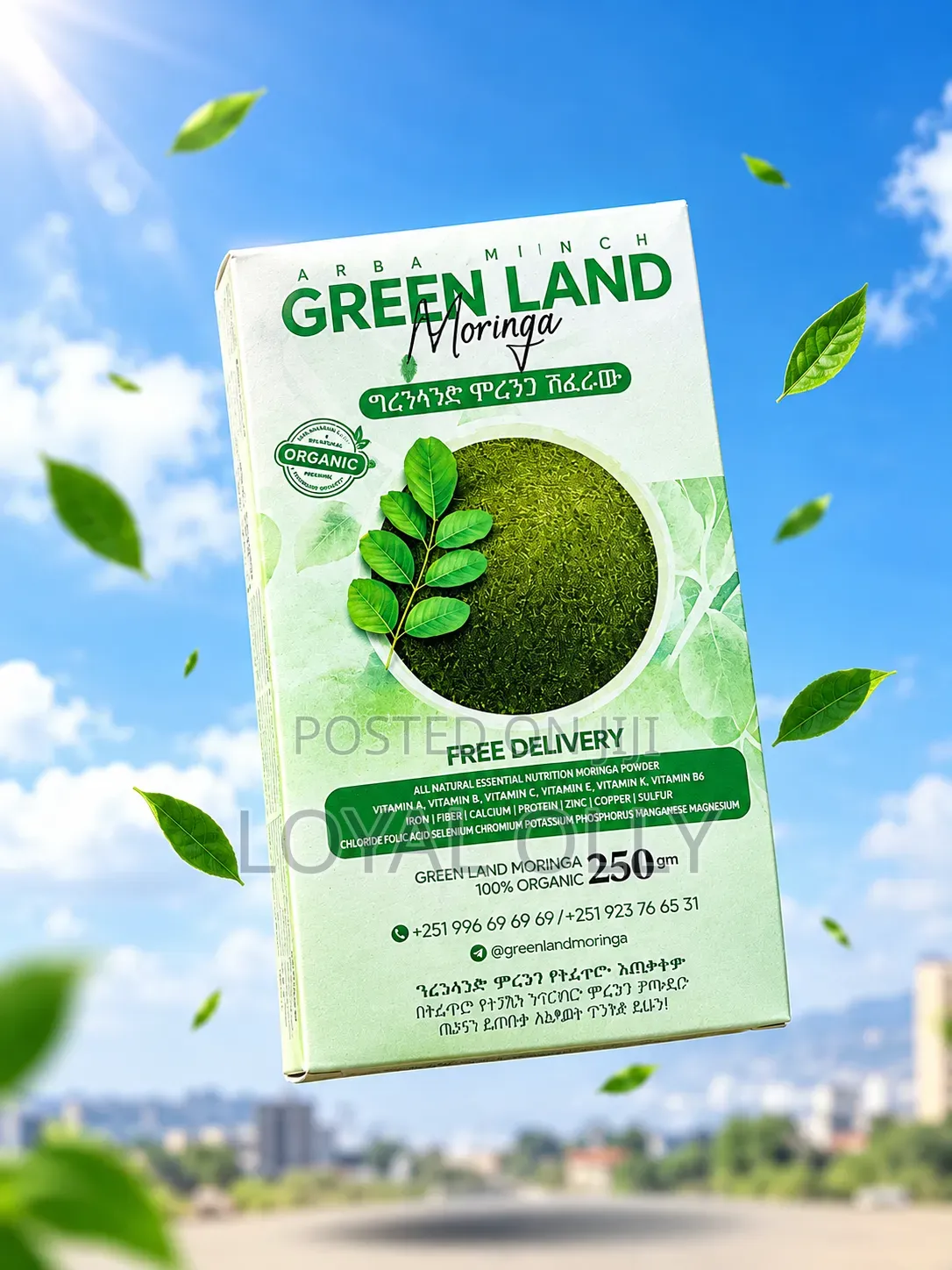 Green Land Moringa