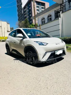 BYD Seagull 2024 White