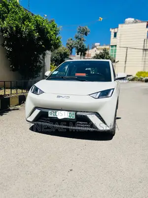 BYD Seagull 2024 White