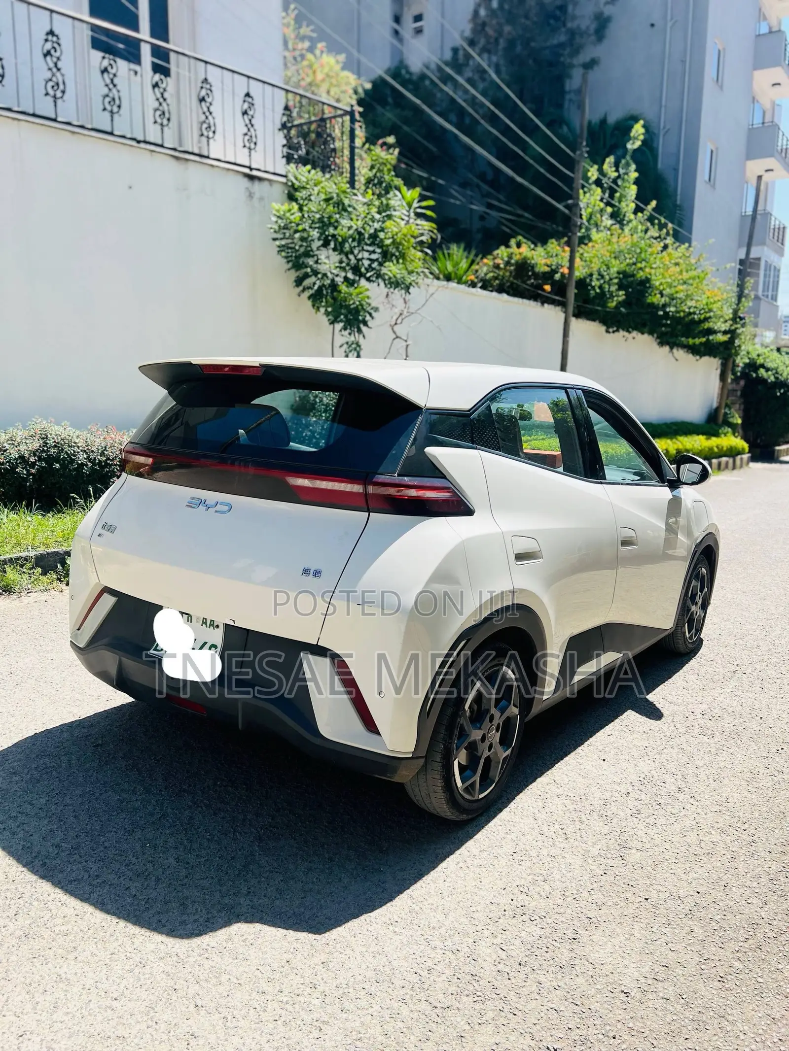 BYD Seagull 2024 White