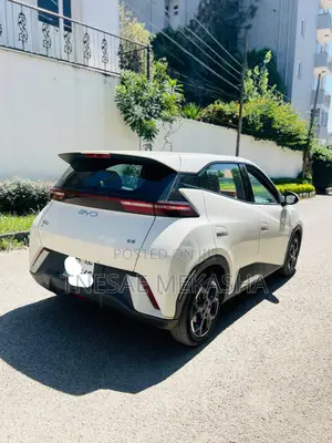 BYD Seagull 2024 White