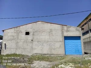 500 ያረፈ መጋዝን ኪራይ