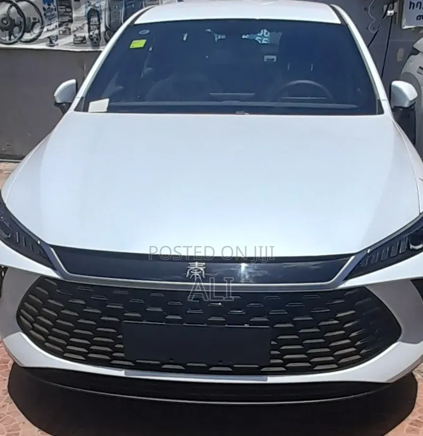 New BYD Qin Plus DM-i 2025 White
