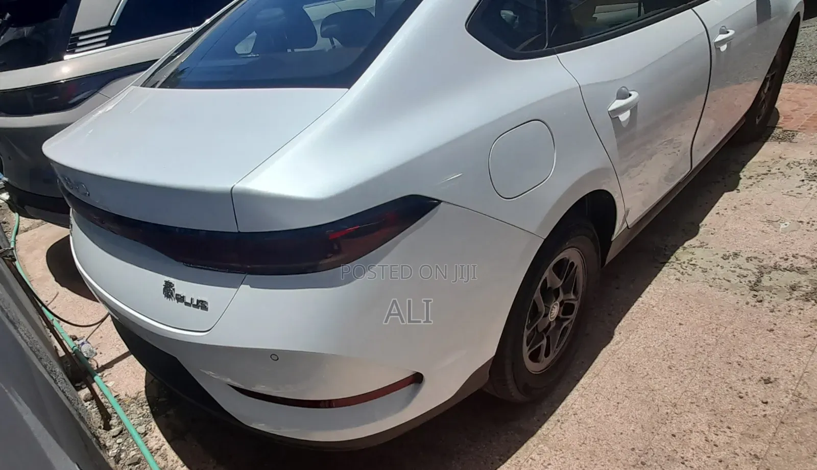 New BYD Qin Plus DM-i 2025 White