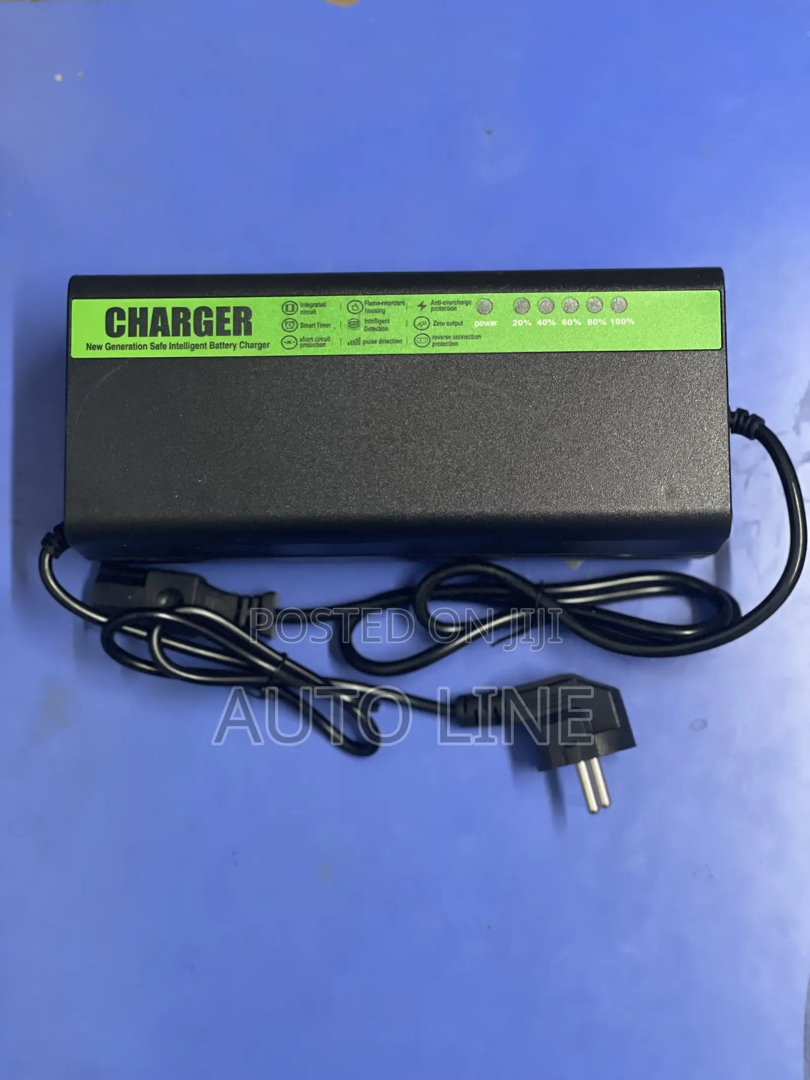 Electric Bike Charger