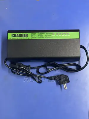 Electric Bike Charger