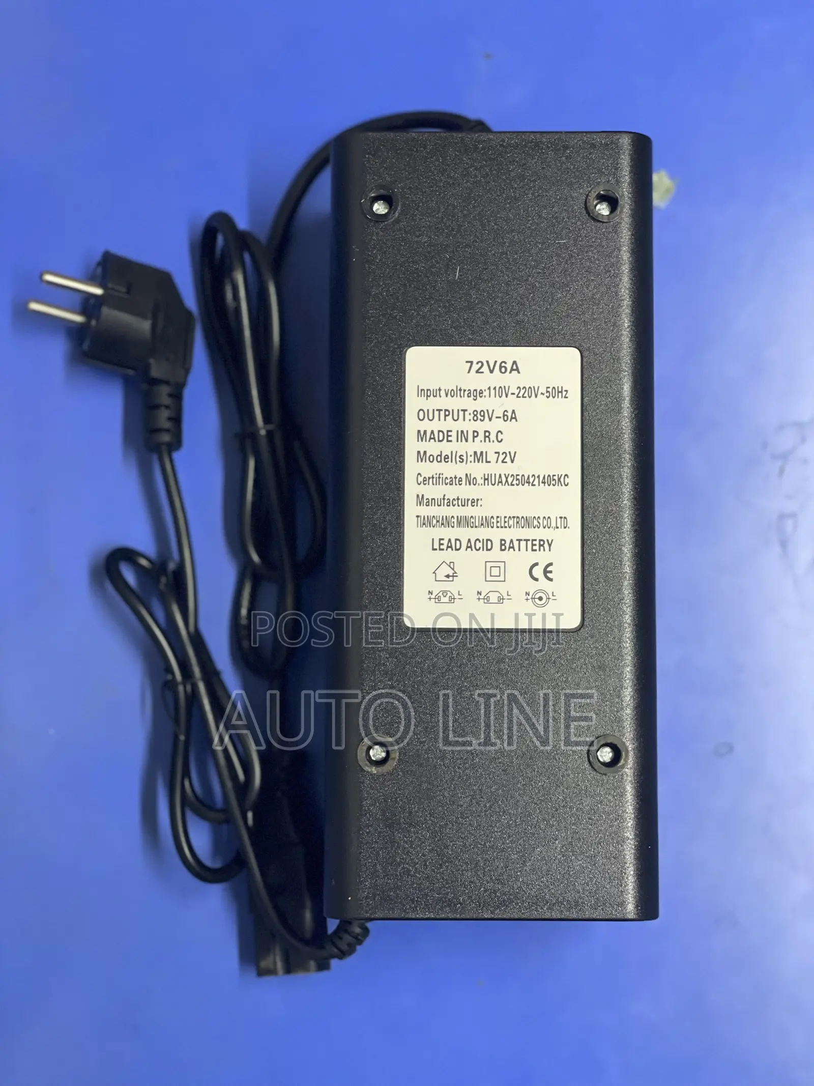 Electric Bike Charger