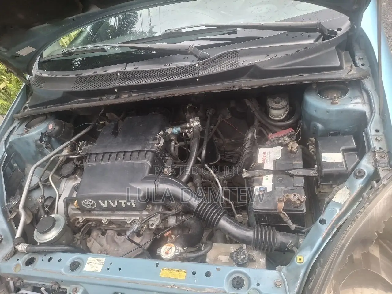 MAN T42 2001 Green
