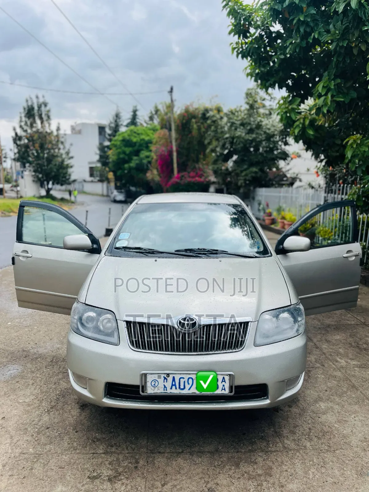 Toyota Corolla 2007 Silver