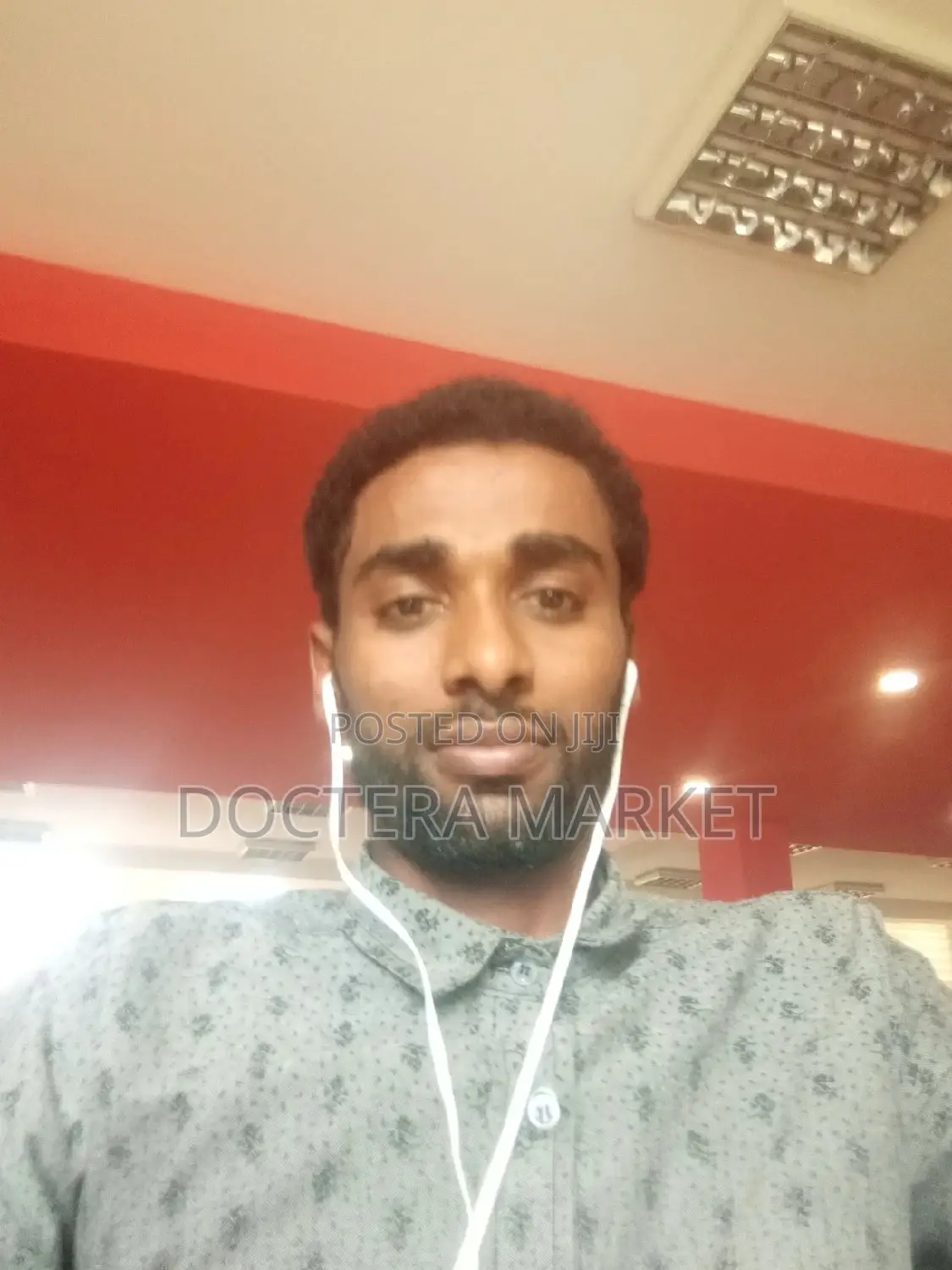 Web App and Bot Developer