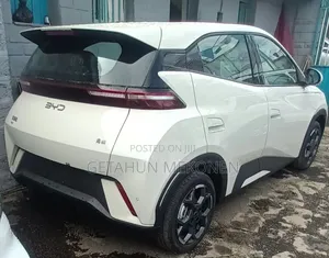 New BYD Seagull 2025