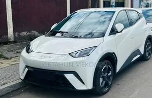 New BYD Seagull 2025