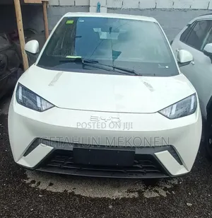 New BYD Seagull 2025