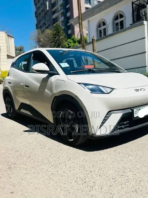 BYD Seagull 2024 White