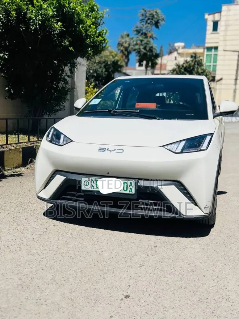 BYD Seagull 2024 White