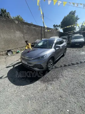 New BYD Yuan Plus 2024 Silver