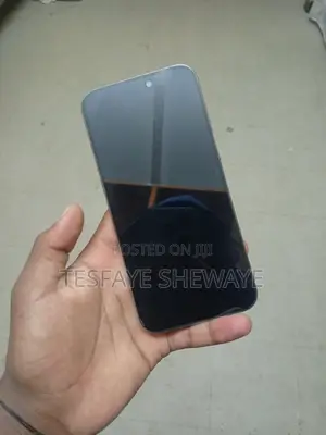 Apple iPhone 15 Pro Max 256 GB