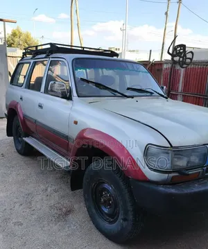 Toyota Land Cruiser 1995 Gray
