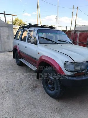 Toyota Land Cruiser 1995 Gray