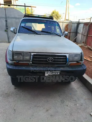 Toyota Land Cruiser 1995 Gray