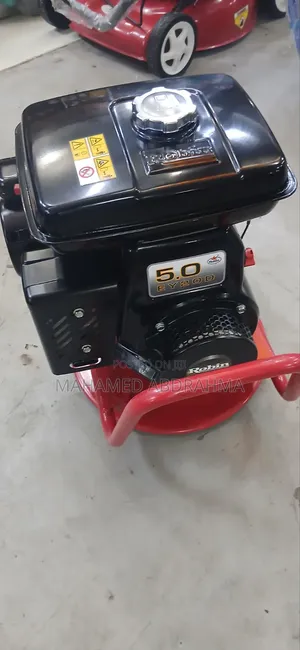 Robin Vibrator Made in Japan