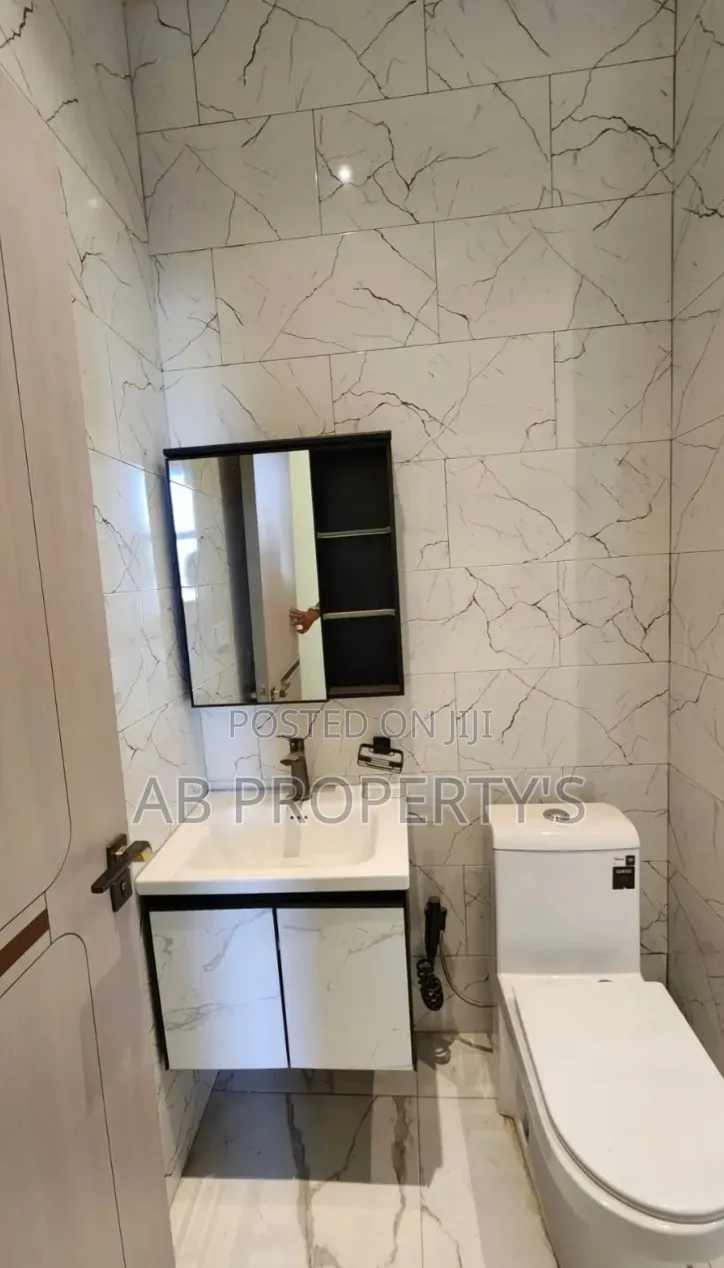 Furnished 3bdrm Apartment in Bole Olympia for sale