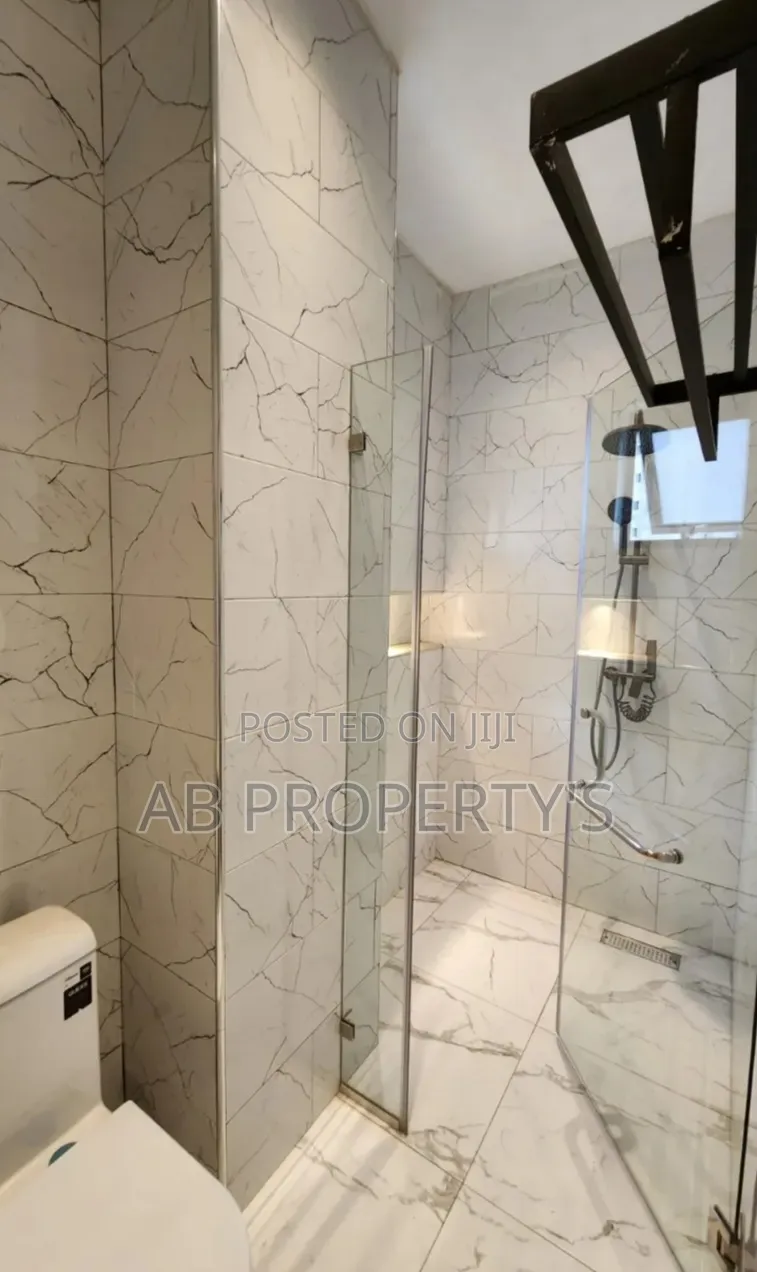 Furnished 3bdrm Apartment in Bole Olympia for sale