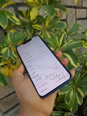 Apple iPhone 13 128 GB Blue