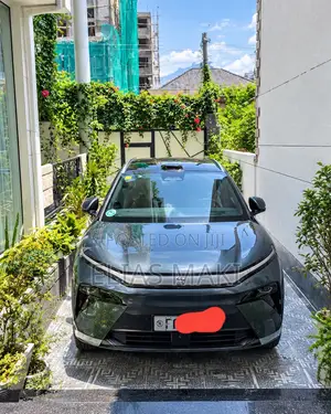 BYD Tang EV 2025 Green