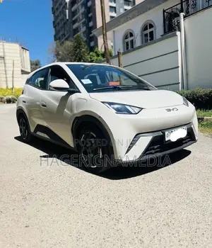 BYD Seagull 2024 White