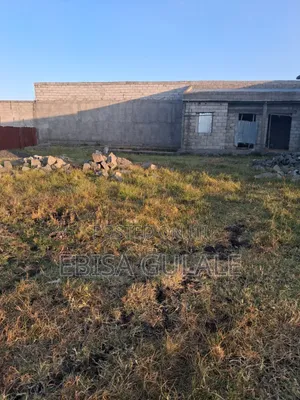 4bdrm Farm House in Oromia-Finfinne for sale