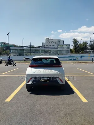New BYD Seagull 2025 Off white