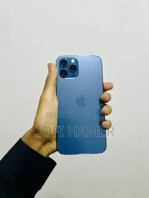 Apple iPhone 12 Pro Max 256 GB Blue