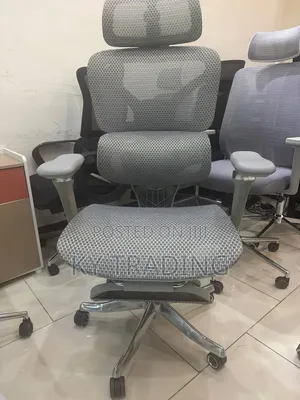 Luxury Ergonomic Chair With Waist Massage and Leg Rest