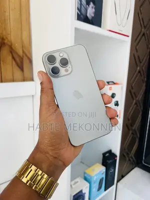 Apple iPhone 15 Pro Max 512 GB Silver