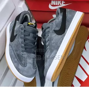 Nike Sb Shoes