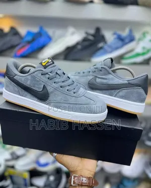 Nike Sb Shoes