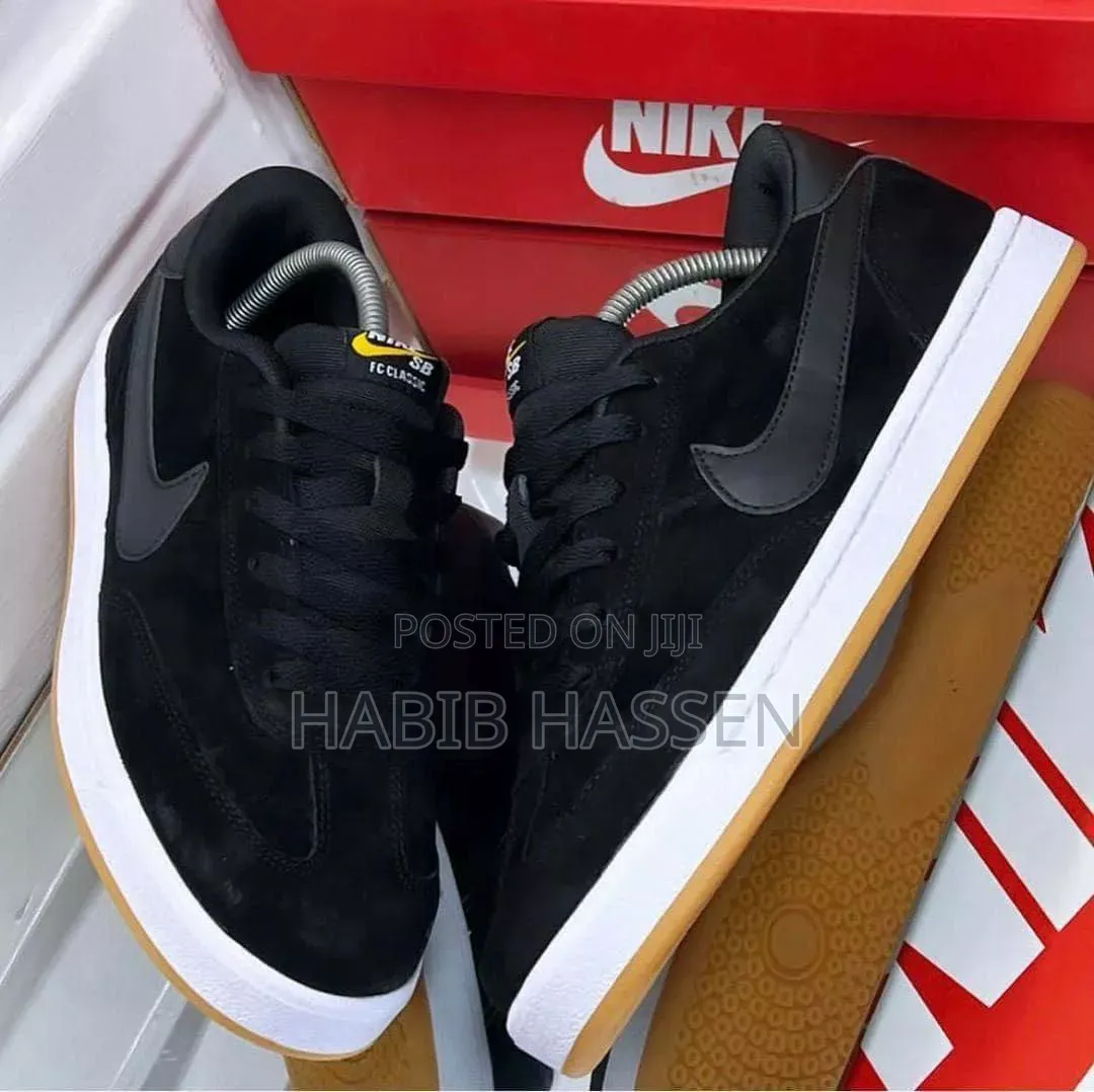 Nike Sb Shoes