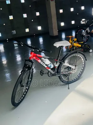 ቆንጆ የስፖርት ባይስክል — Stylish Sports Bicycle