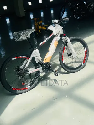 ለዕለታዊ ጉዞ የሚሆን ባይስክል — Everyday Riding Bicycle