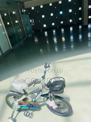 Stylish PHOENIX Kids Bicycle – ዘመናዊ የፊኒክስ የልጆች ብስክሌት